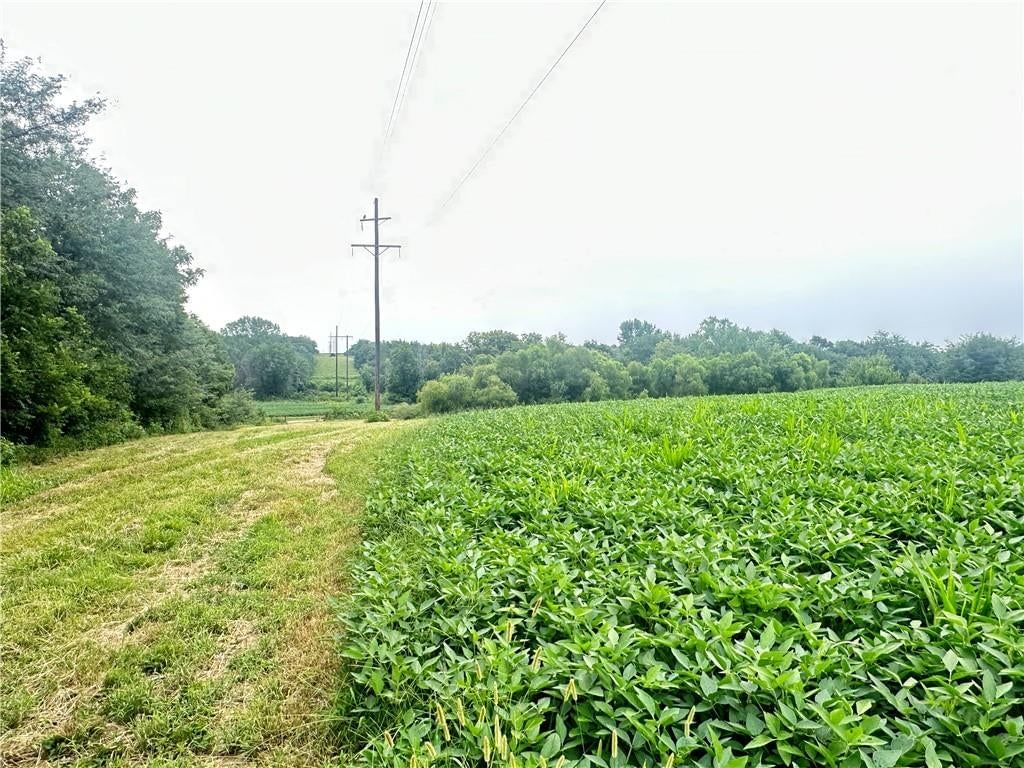 Tract 13 High Country Trail — photo 17