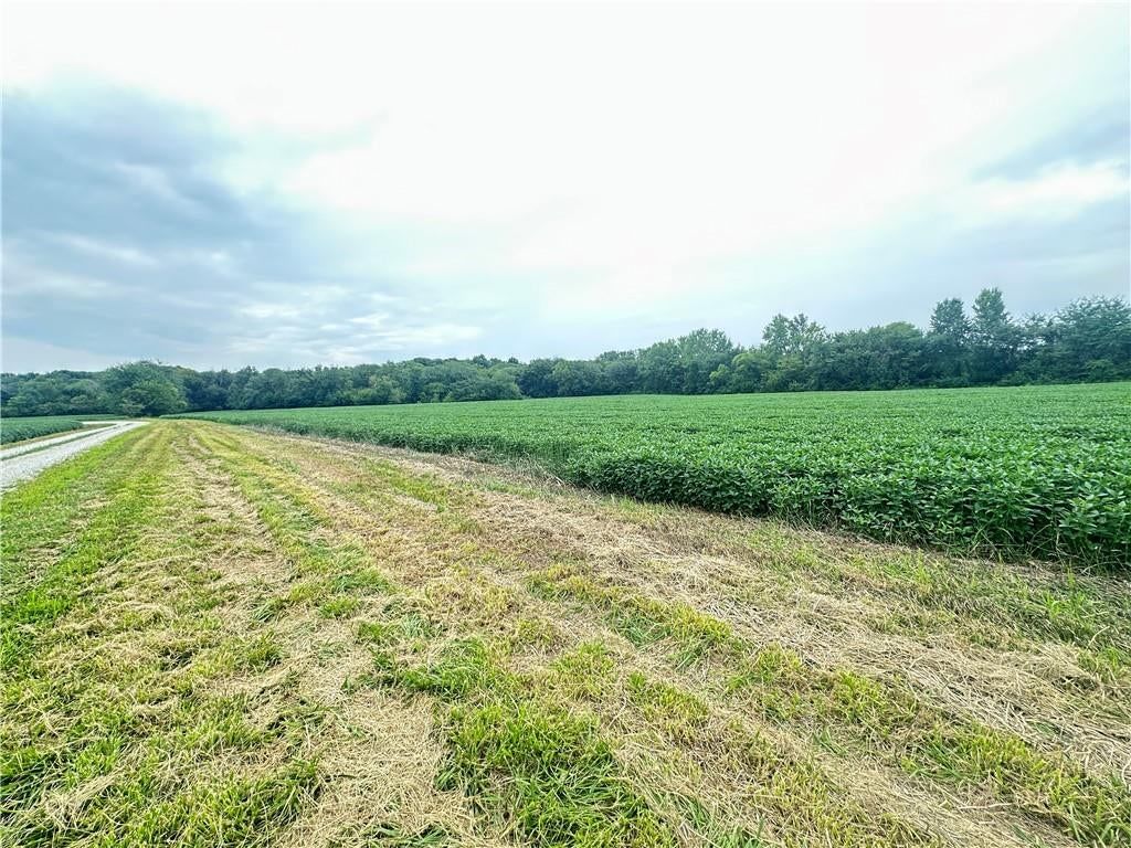 Tract 14 High Country Trail — photo 20