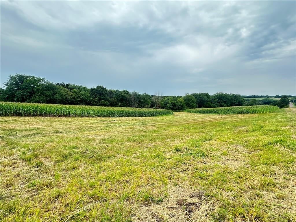 Tract 12 State M Highway — photo 17