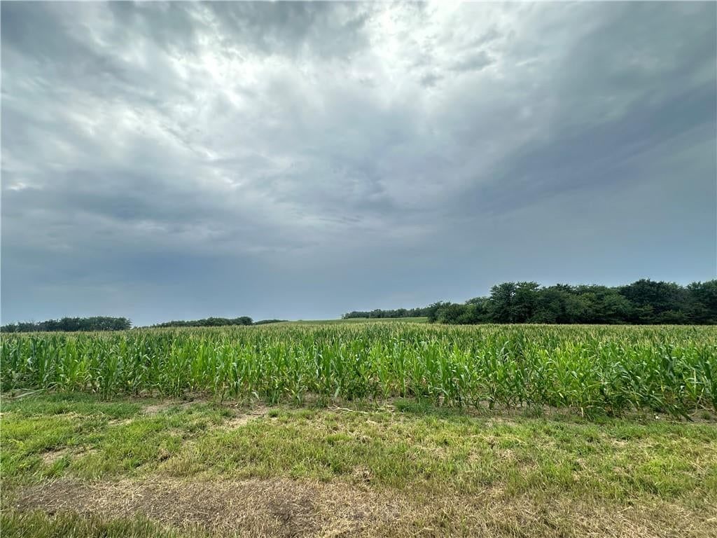 Tract 12 State M Highway — photo 19