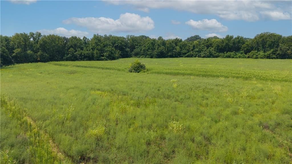 000 N Hoover Road — photo 4