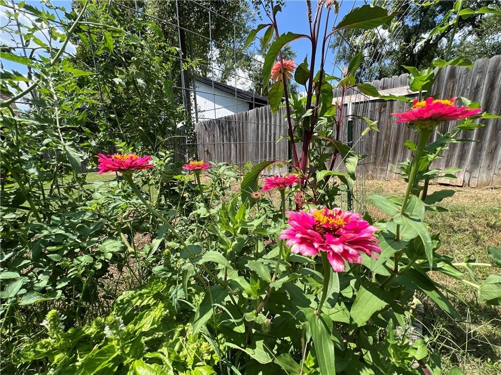 17121 Monte Verde Drive — photo 11