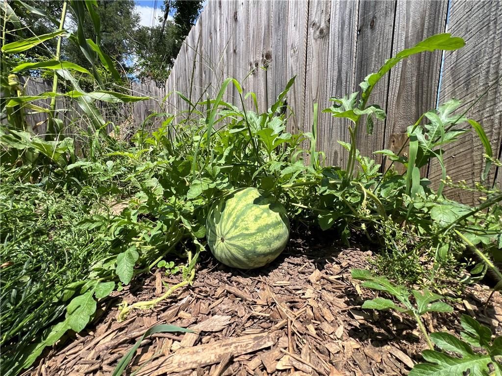 17121 Monte Verde Drive — photo 21