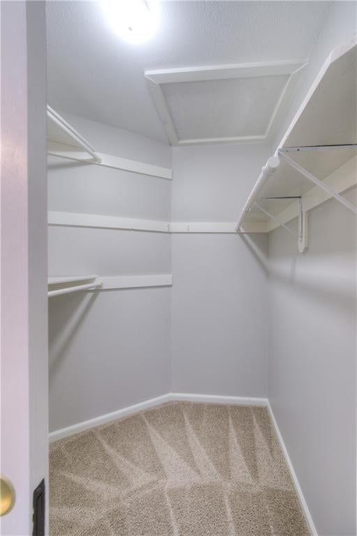 9927 N Harrison Drive — photo 23