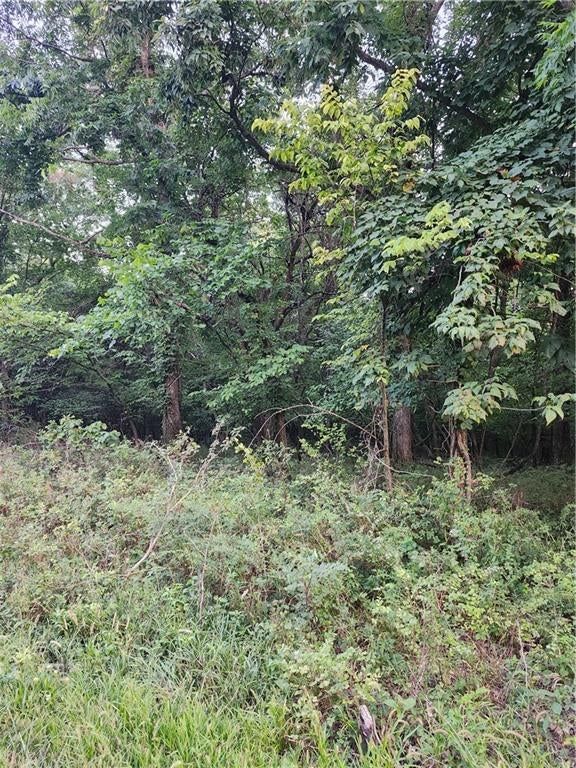 166 Sycamore Drive — photo 5