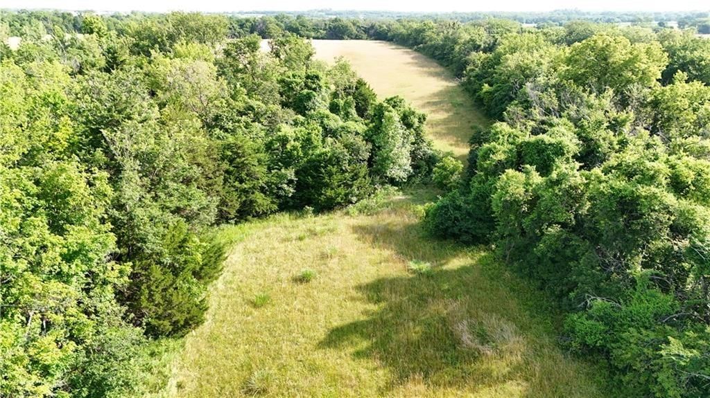 Hackberry Road — photo 3