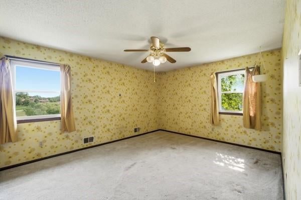 5423 Phelps Road — photo 46