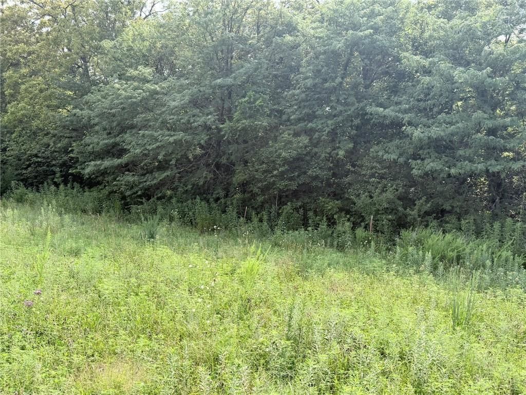 TBD Major Avenue — photo 7
