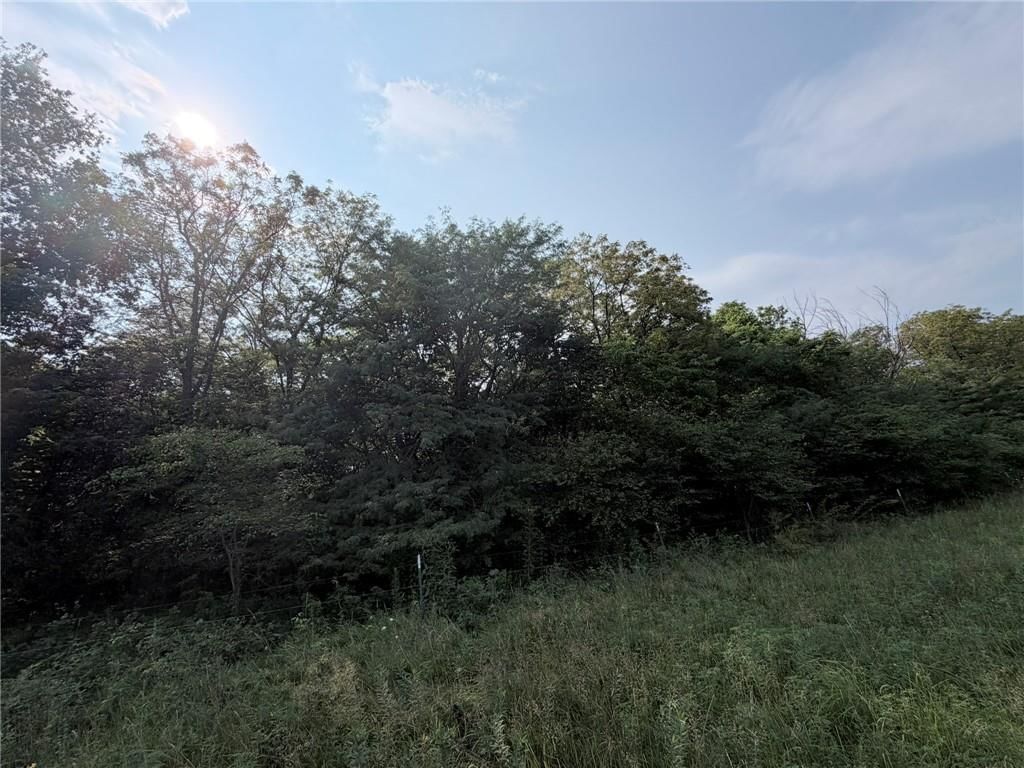 TBD Major Avenue — photo 15