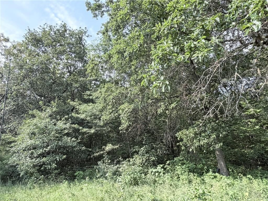 TBD Major Avenue — photo 29