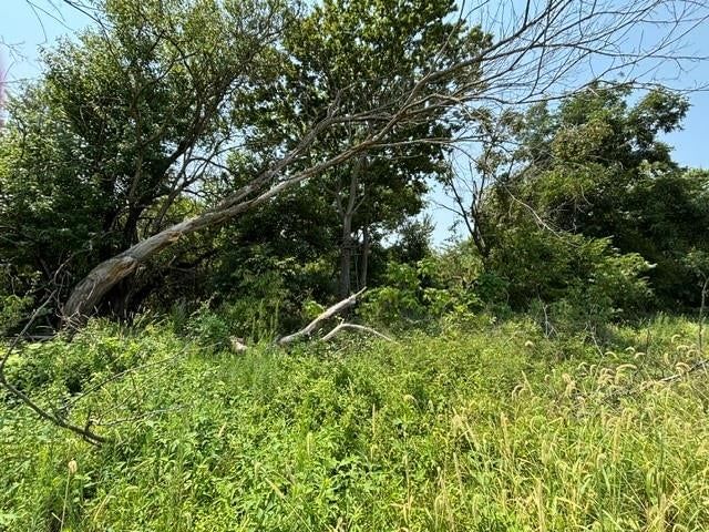 N Western Avenue — photo 16