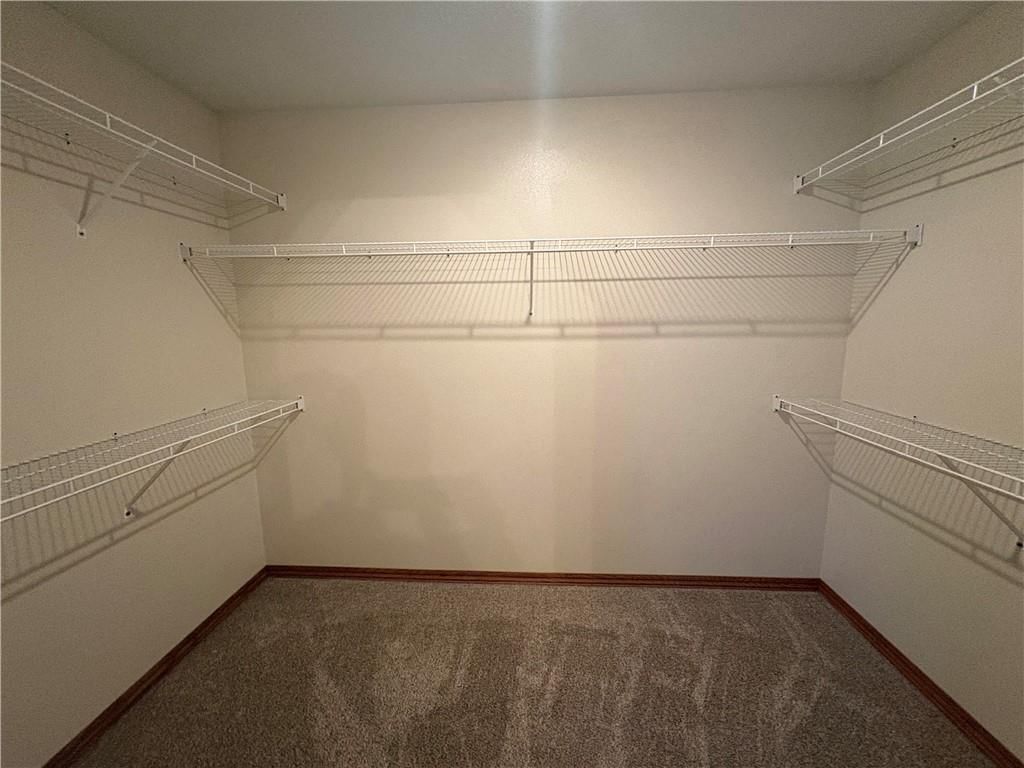 3103 Scotty Drive — photo 11