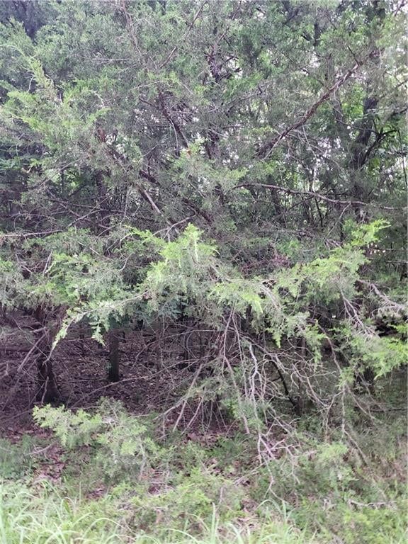 5 Silver Lane — photo 1