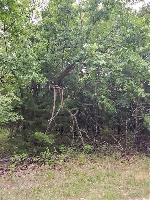 5 Silver Lane — photo 4
