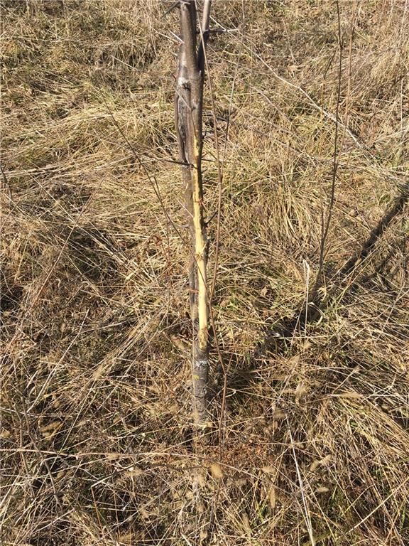 SE Black Oak Road — photo 10