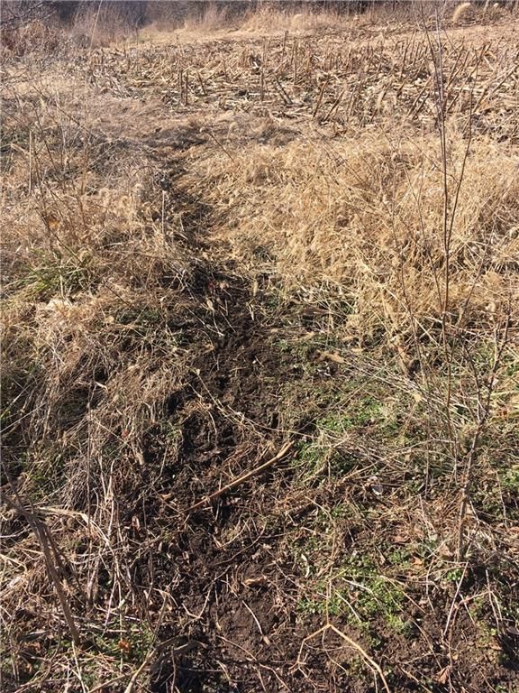 SE Black Oak Road — photo 11