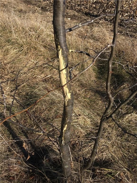 SE Black Oak Road — photo 13