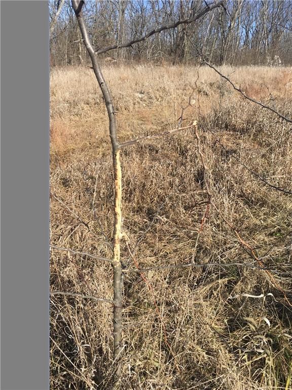 SE Black Oak Road — photo 15