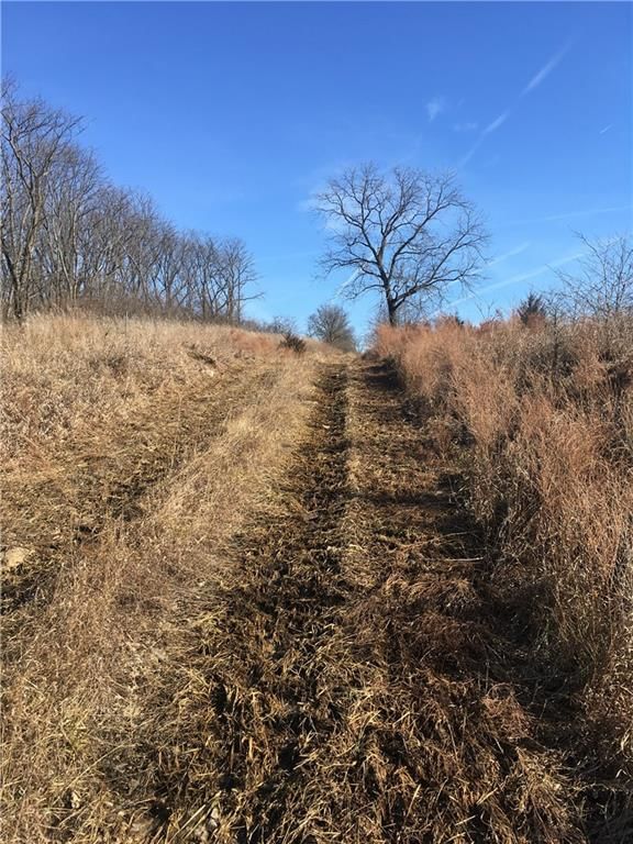 SE Black Oak Road — photo 16