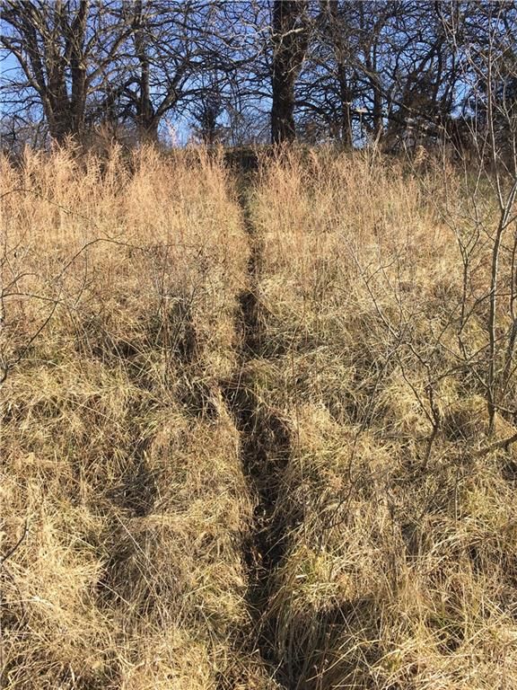 SE Black Oak Road — photo 17