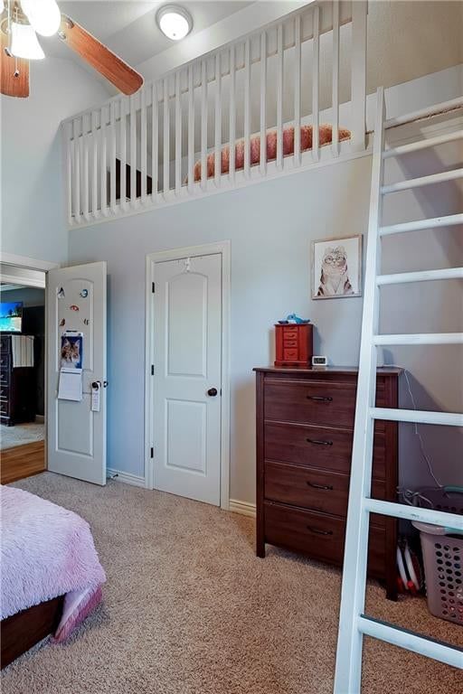 11704 Centennial Street — photo 23