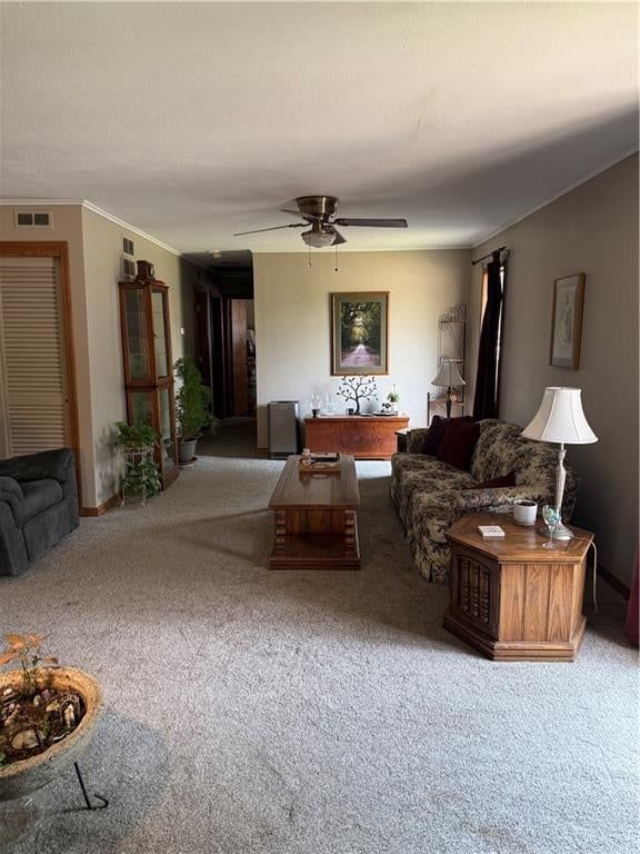 2400 Linda Jean Drive — photo 6