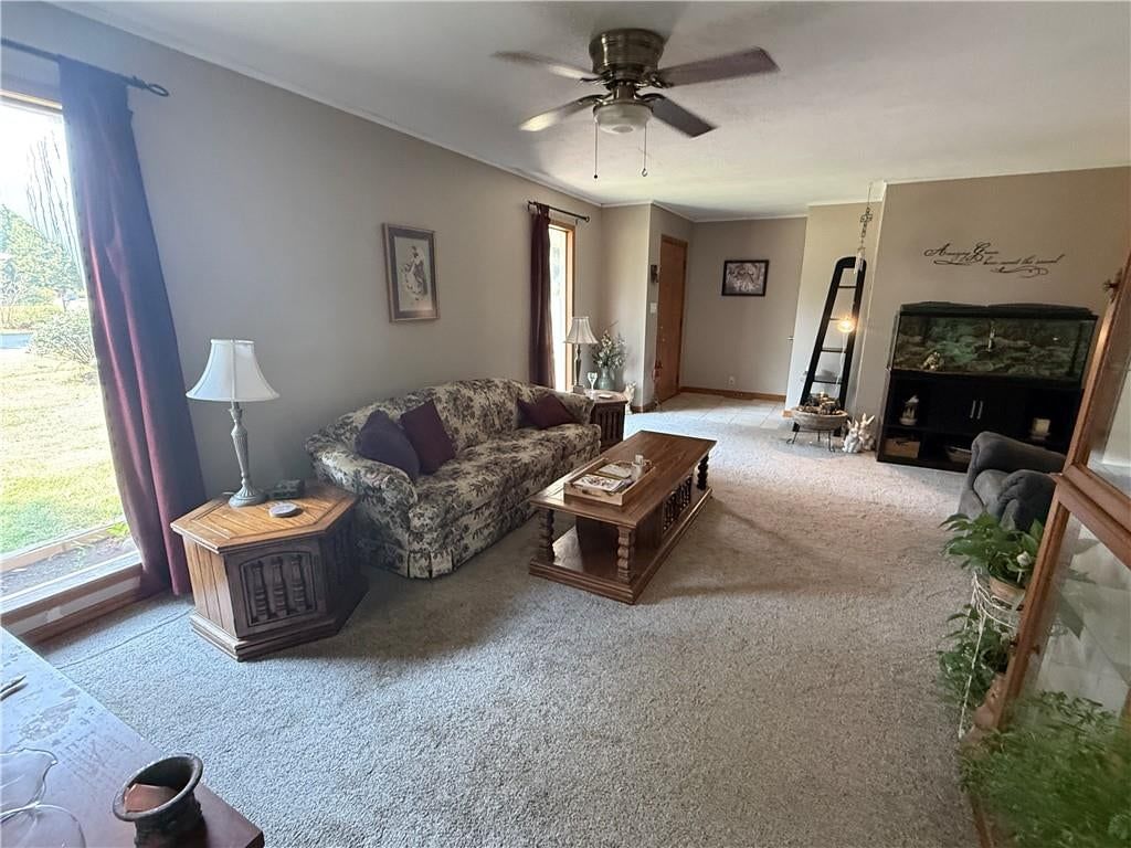 2400 Linda Jean Drive — photo 8