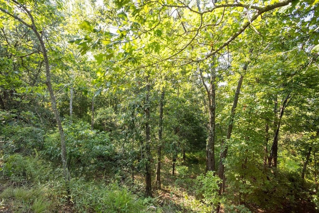 0000 SW 900 Road — photo 11
