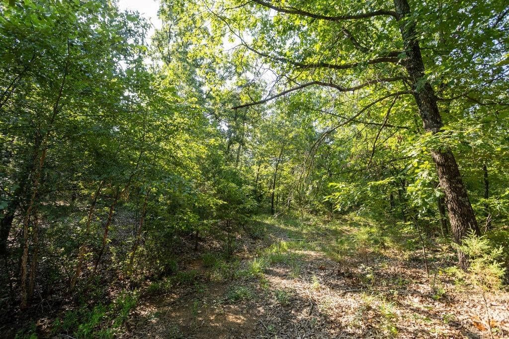 0000 SW 900 Road — photo 13