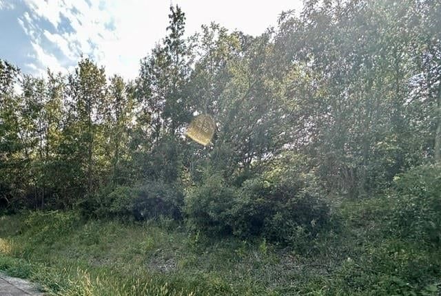 TBD 69 Highway — photo 4