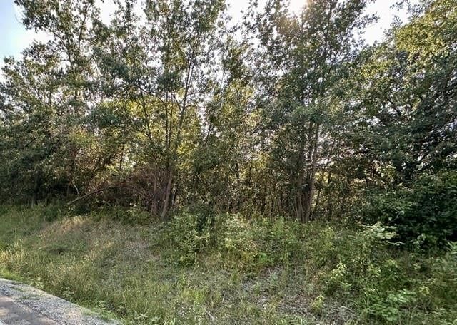 TBD 69 Highway — photo 5