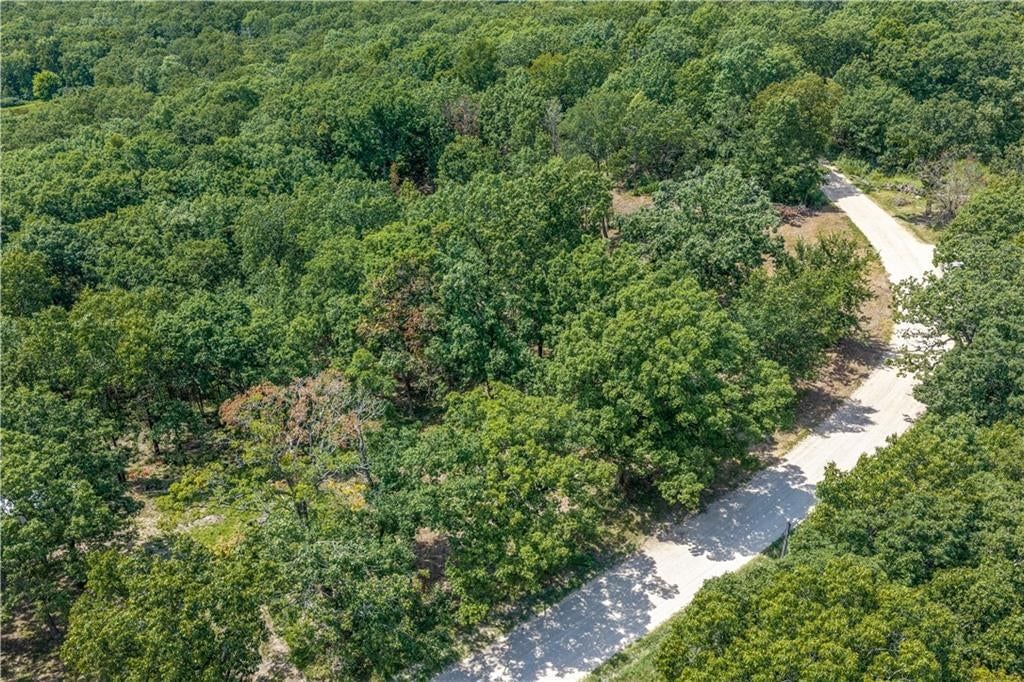 28186 Brushy Chapel Avenue — photo 9