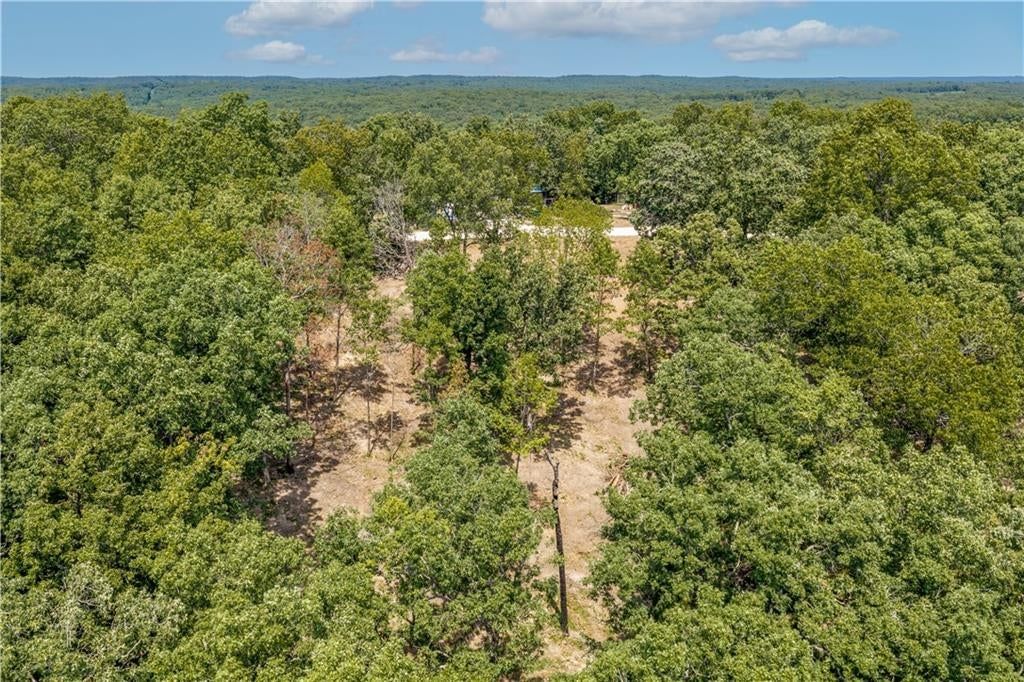 28186 Brushy Chapel Avenue — photo 22