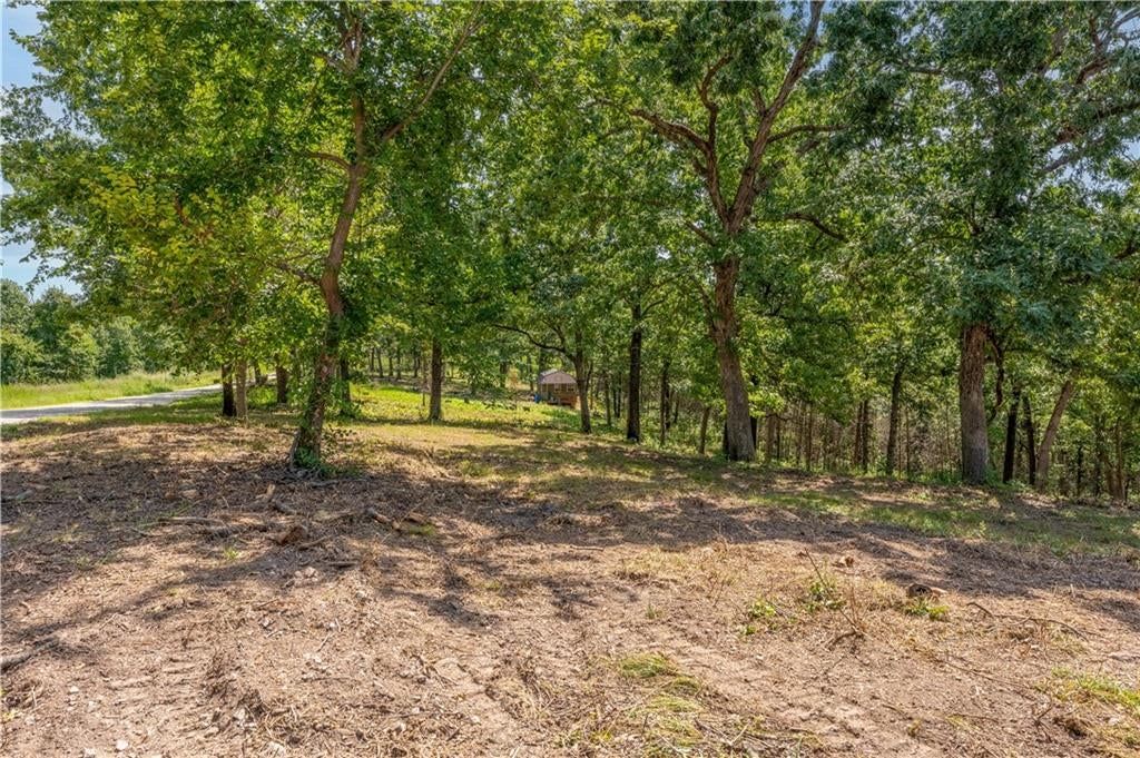 28186 Brushy Chapel Avenue — photo 30