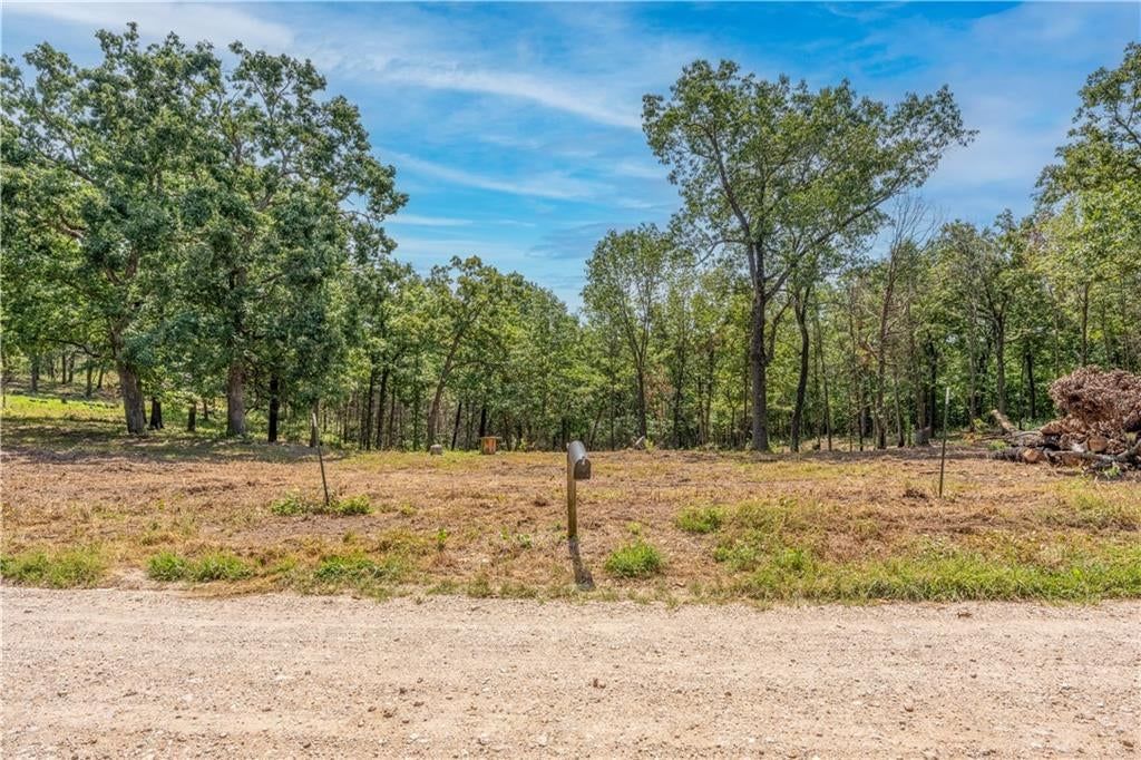 28186 Brushy Chapel Avenue — photo 33