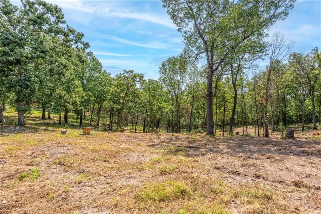 28186 Brushy Chapel Avenue — photo 37