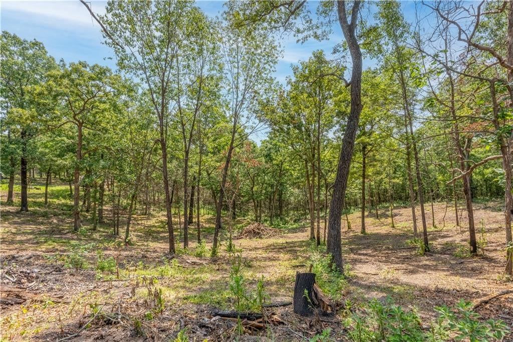 28186 Brushy Chapel Avenue — photo 40
