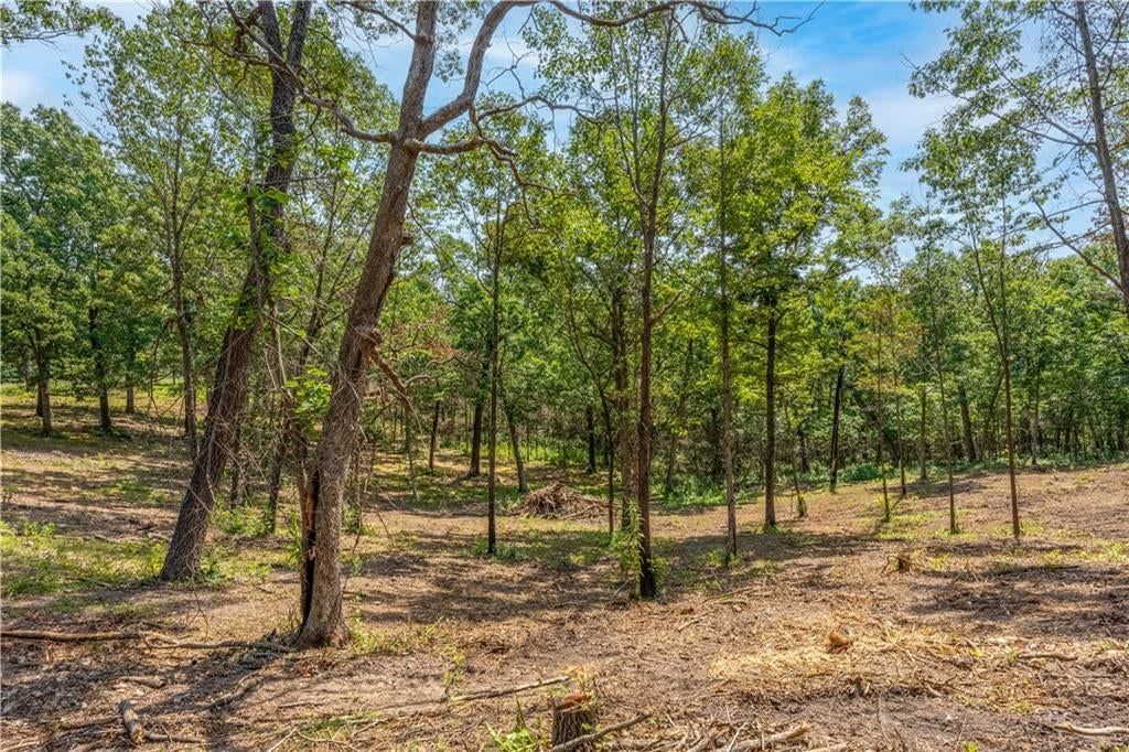 28186 Brushy Chapel Avenue — photo 43