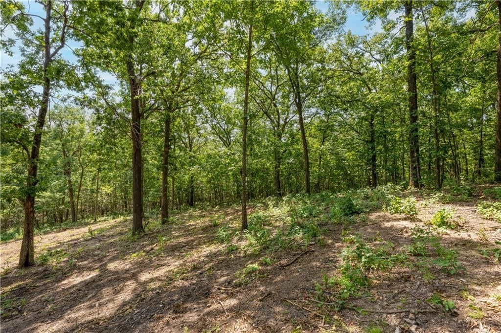 28186 Brushy Chapel Avenue — photo 45