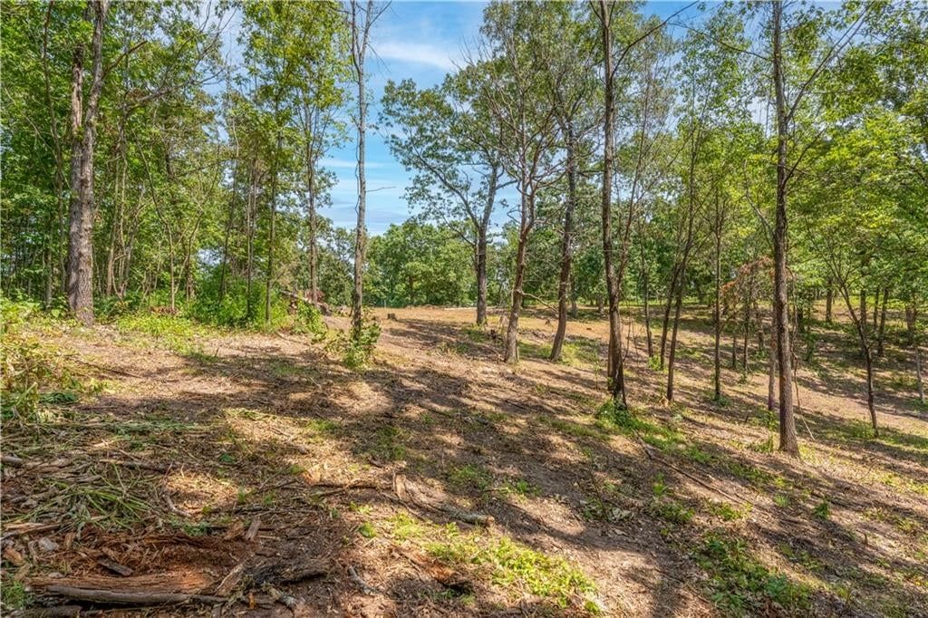 28186 Brushy Chapel Avenue — photo 46