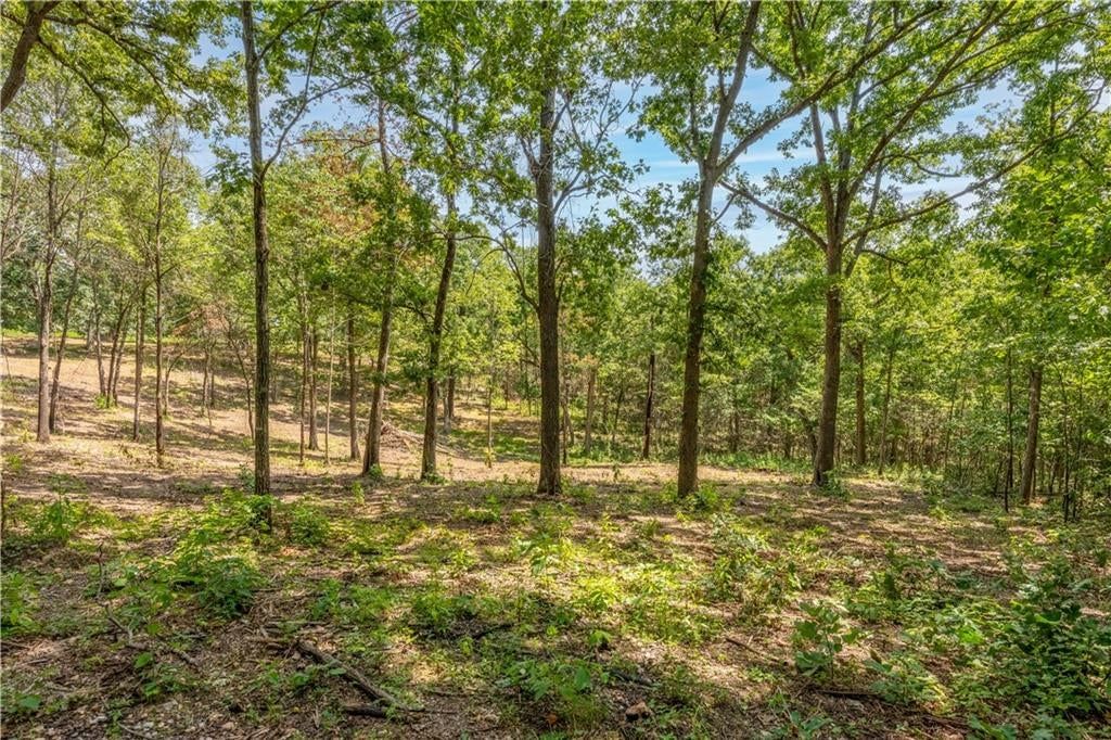 28186 Brushy Chapel Avenue — photo 47