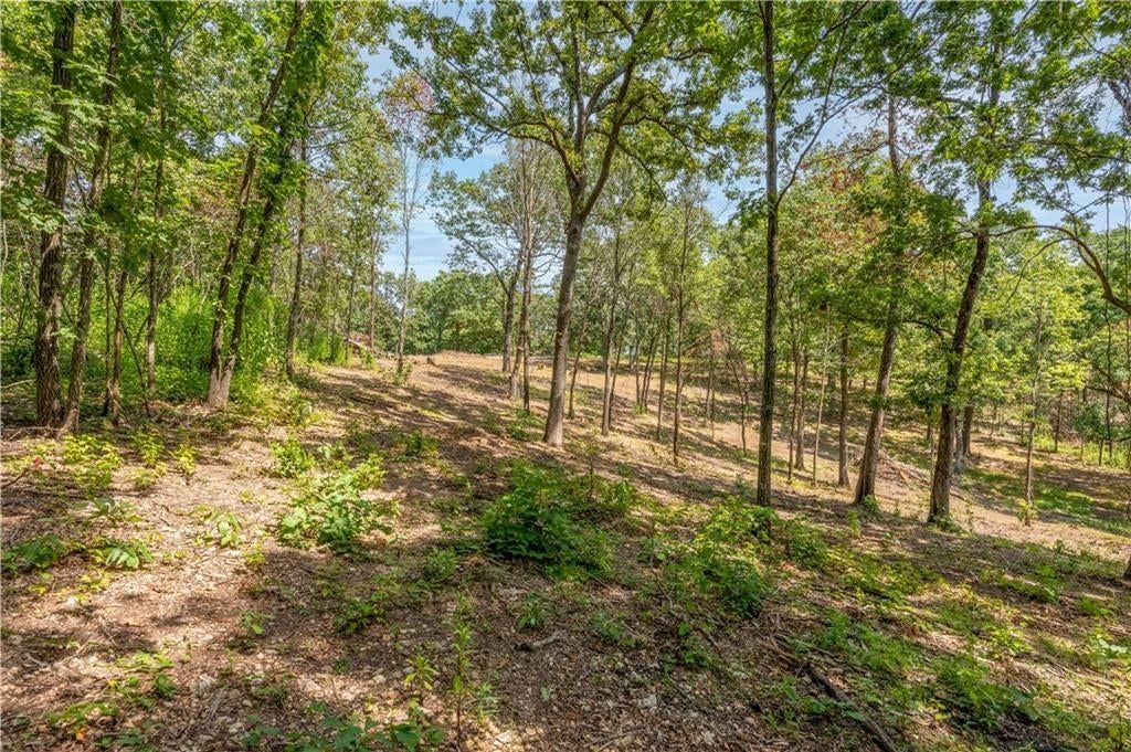28186 Brushy Chapel Avenue — photo 48