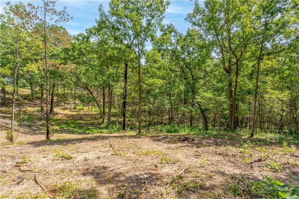 28186 Brushy Chapel Avenue — photo 49