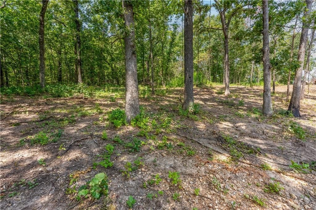 28186 Brushy Chapel Avenue — photo 51
