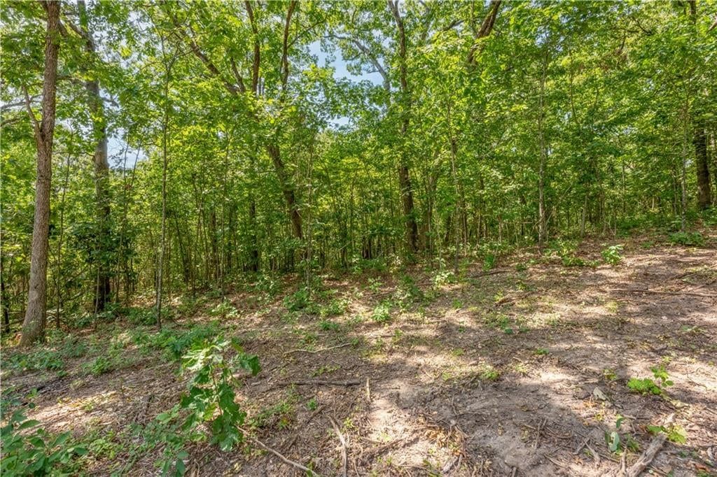 28186 Brushy Chapel Avenue — photo 52