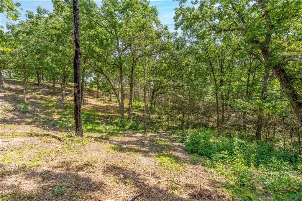 28186 Brushy Chapel Avenue — photo 53