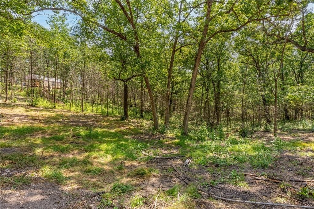 28186 Brushy Chapel Avenue — photo 59