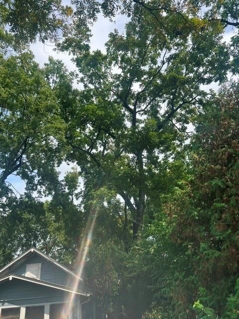1315 S Osage Street — photo 13