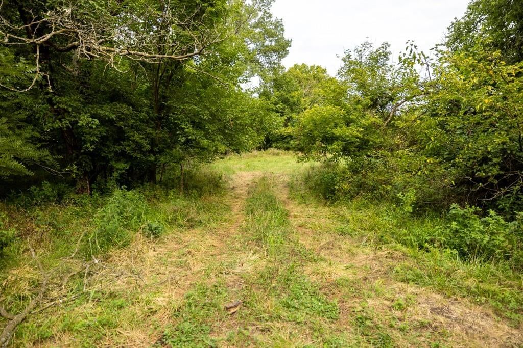 000 SE McBee Chapel Road — photo 41