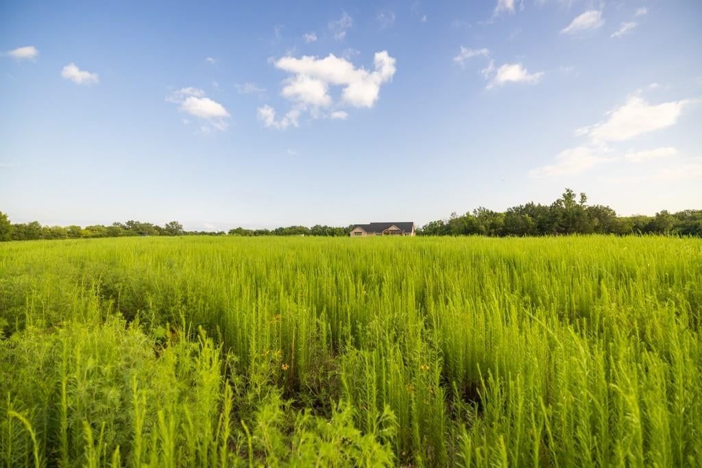 Lot 6 Timber Ridge Drive — photo 21